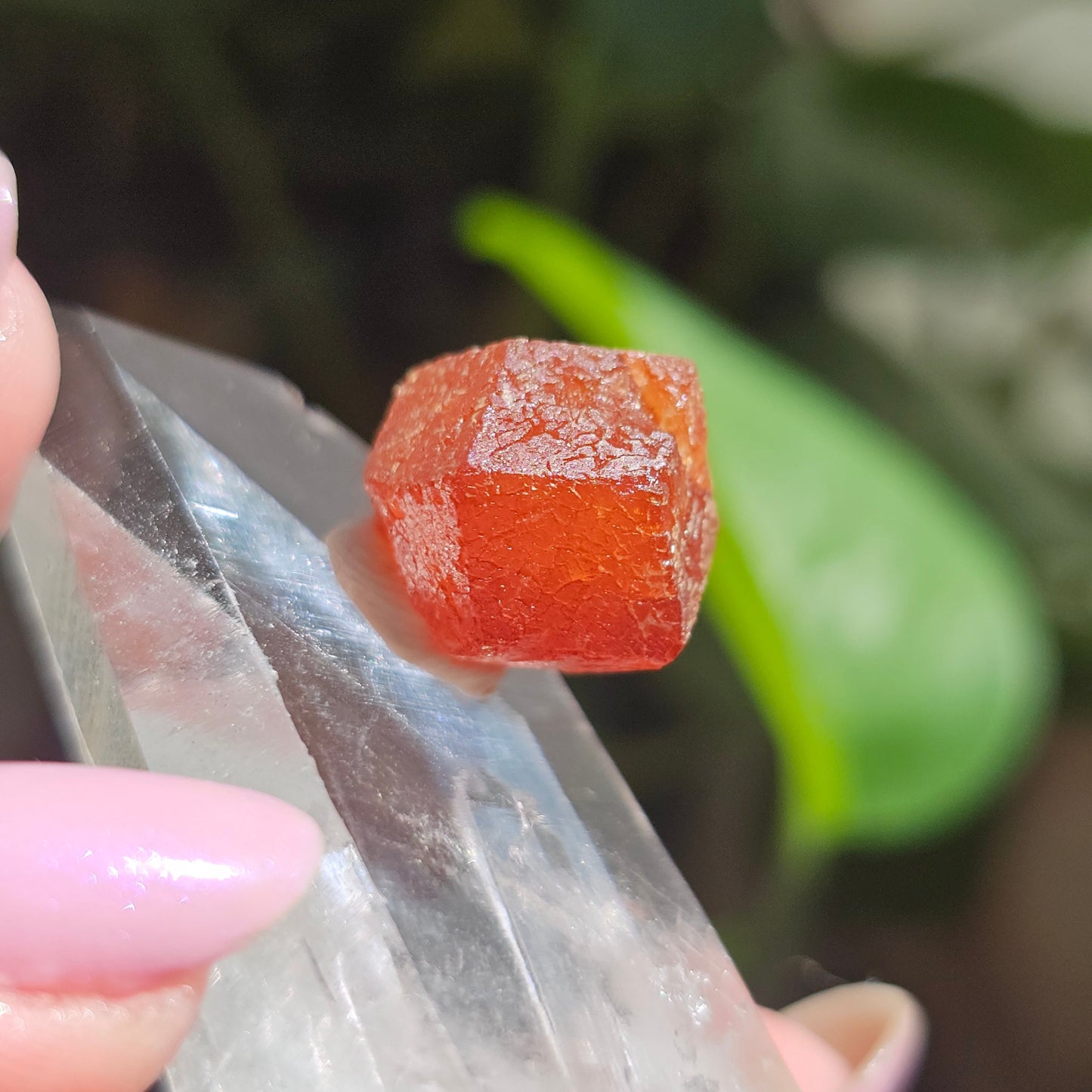 RARE Orange Garnet, 25ct Floater, Old Stock from Nigeria, Well Formed, Snakeskin Pattern, Rich Deep Color, Collector Spessartine, Gem Grade