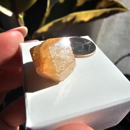 Rare Orange Garnet, 25.7ct Kenyan, Old Stock <100