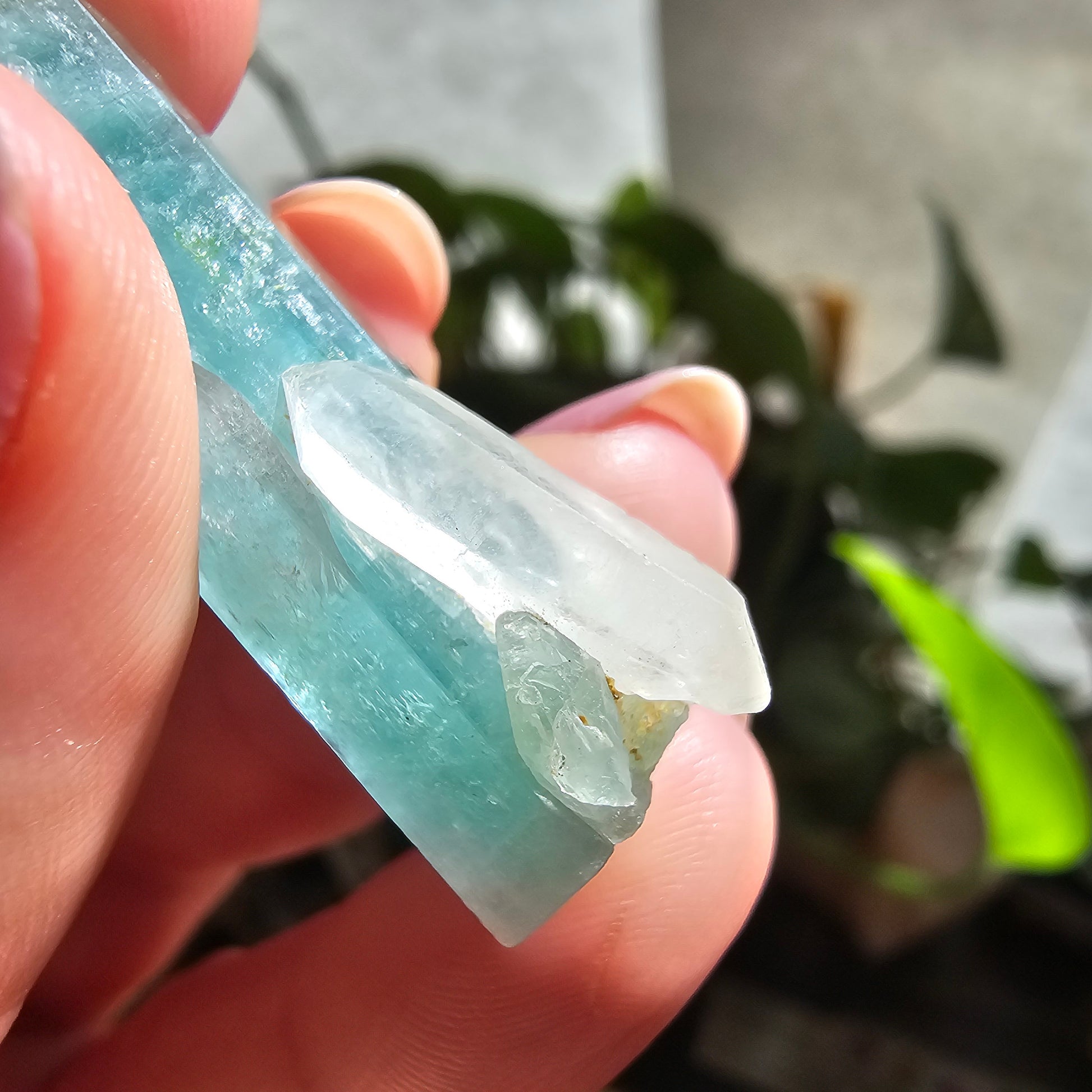 Emerald with Quartz, 40c Natural Terminated Crystal, Beautiful Earth, Rare Precious Beryl, Bright Neon Genuine Collector Gemstone, New Find