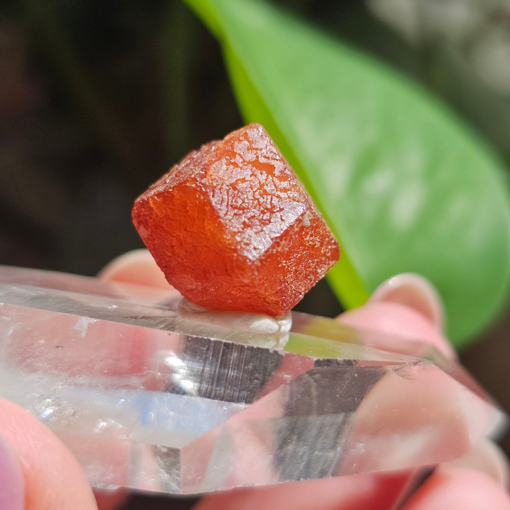 RARE Orange Garnet, 25ct Floater, Old Stock from Nigeria, Well Formed, Snakeskin Pattern, Rich Deep Color, Collector Spessartine, Gem Grade