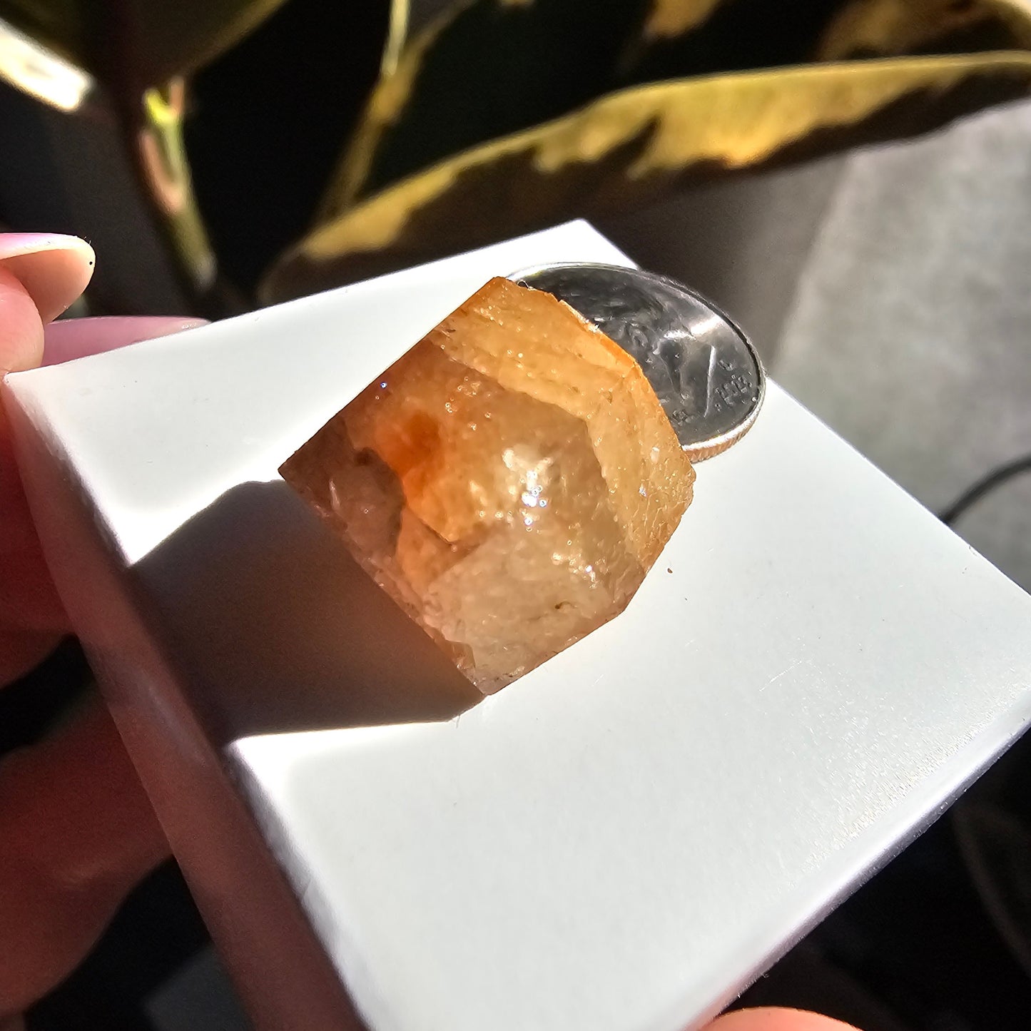 Rare Orange Garnet, 25.7ct Kenyan, Old Stock <100