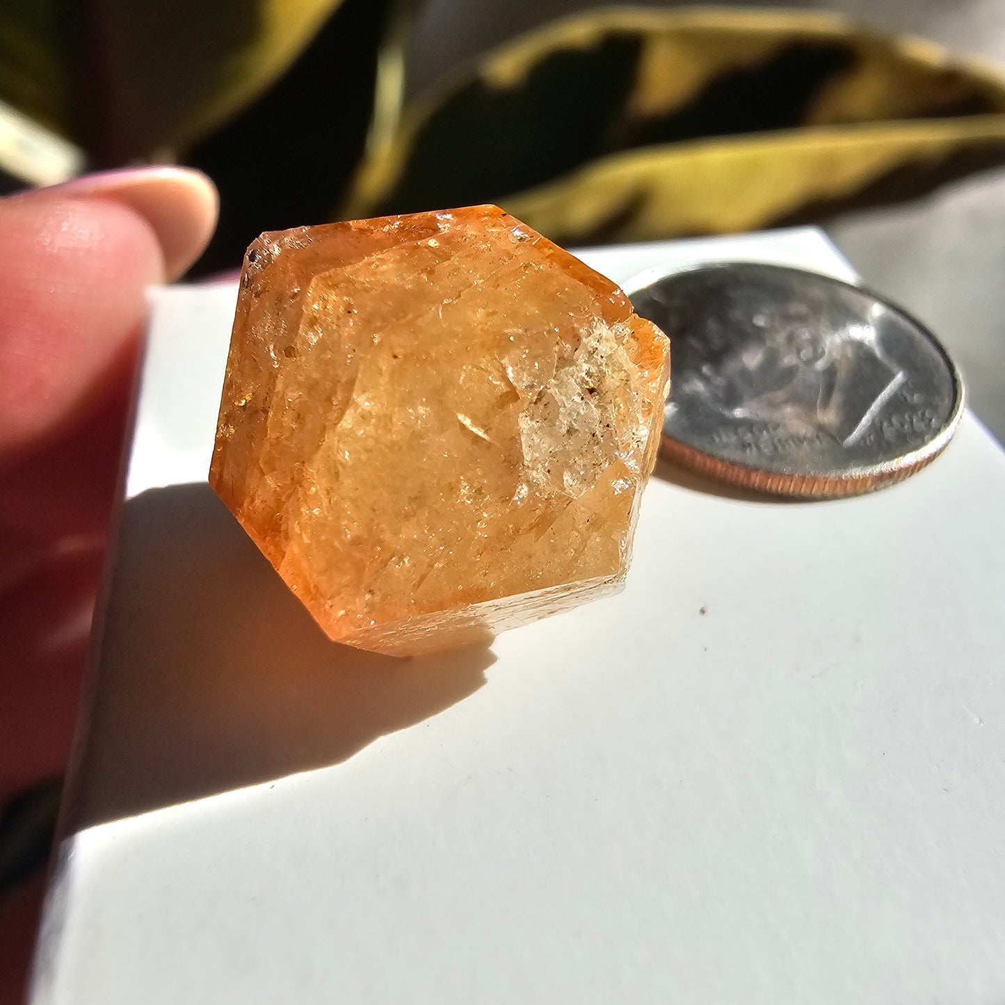 Rare Orange Garnet, 25.7ct Kenyan, Old Stock <100