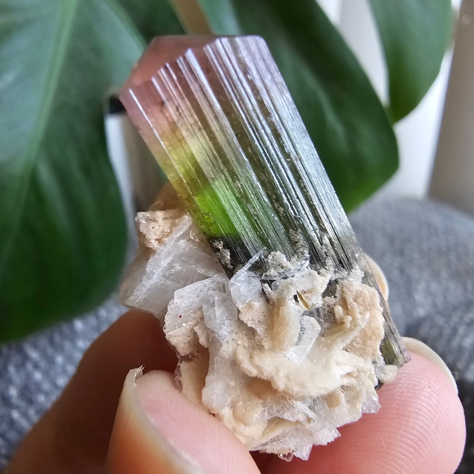 Tourmaline Crystal w Cleavandite, 9.2g Stak Nala Green & Pink Elbaite, Watermelon Tourmaline Colors, Distinct Light Shifts, Rare Mineral Art