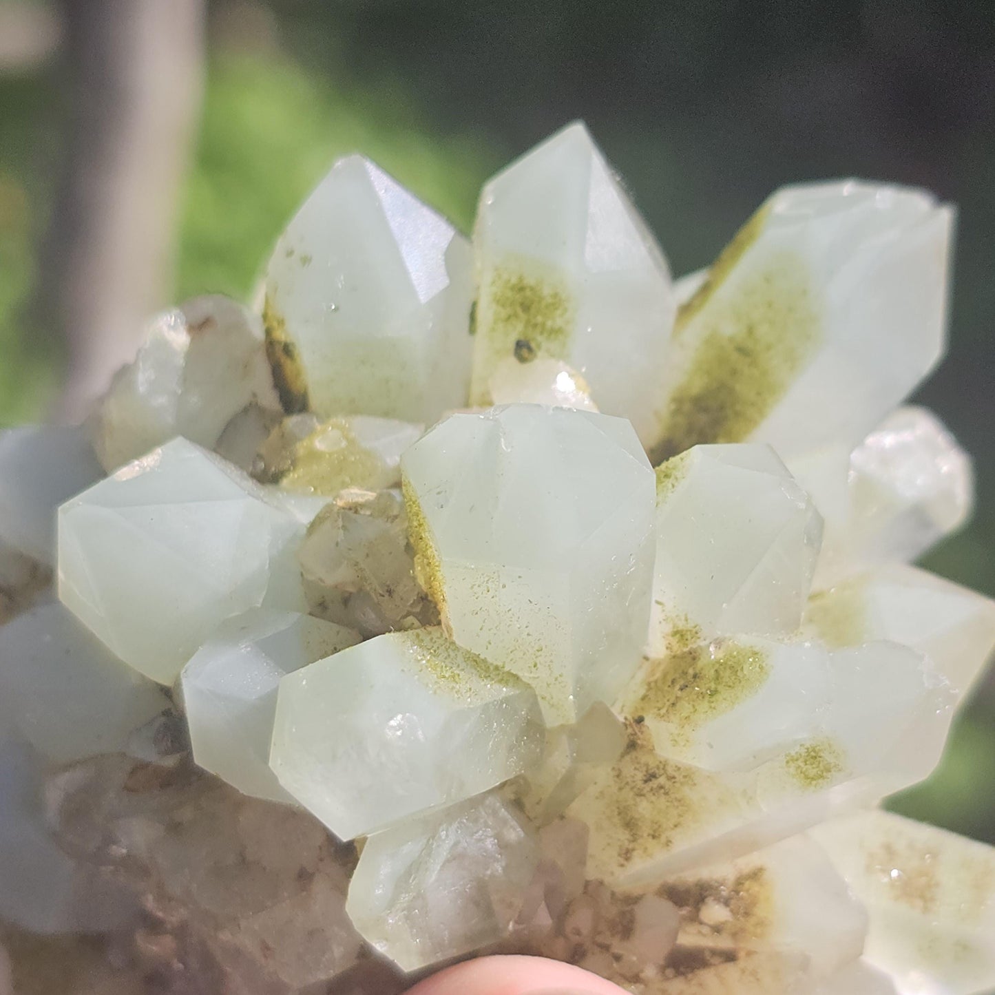 Epidote & Minty Blue Phantom Quartz ~ Very Rare Radial, Flowering Formation