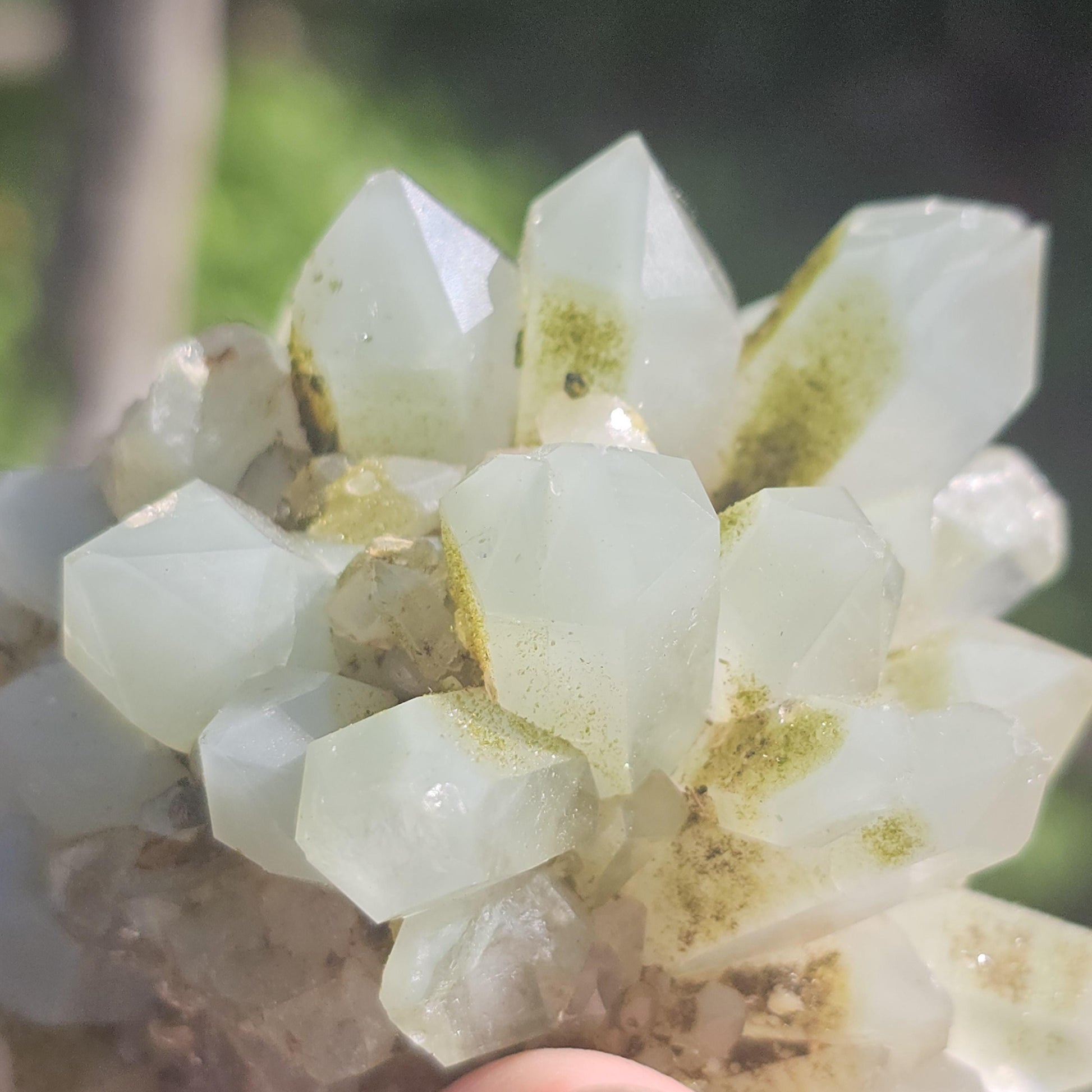 Epidote & Minty Blue Phantom Quartz ~ Very Rare Radial, Flowering Formation