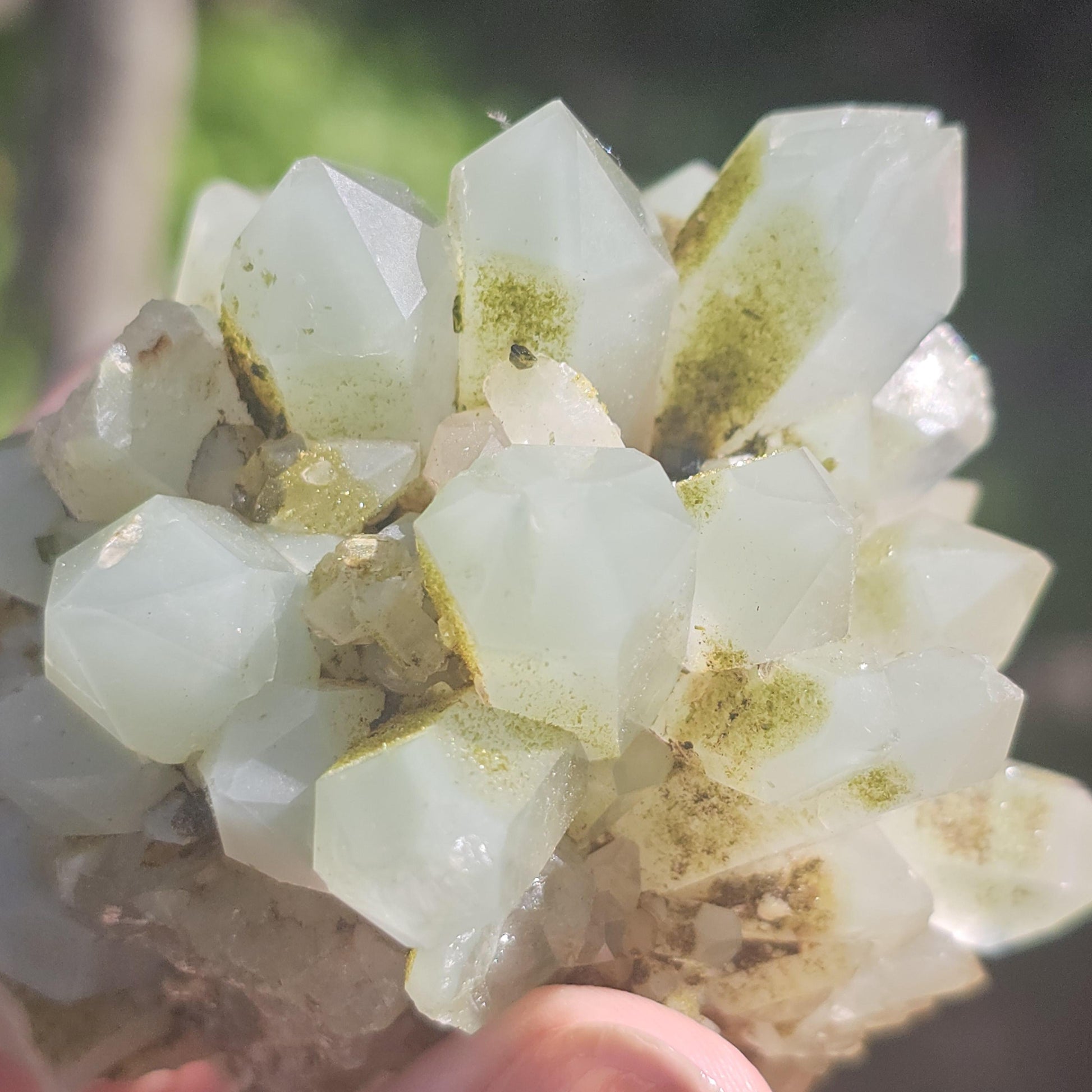 Epidote & Minty Blue Phantom Quartz ~ Very Rare Radial, Flowering Formation