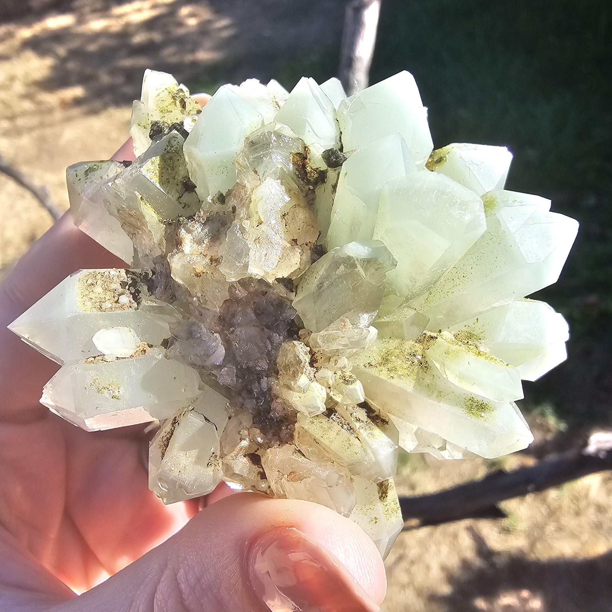 Epidote & Minty Blue Phantom Quartz ~ Very Rare Radial, Flowering Formation