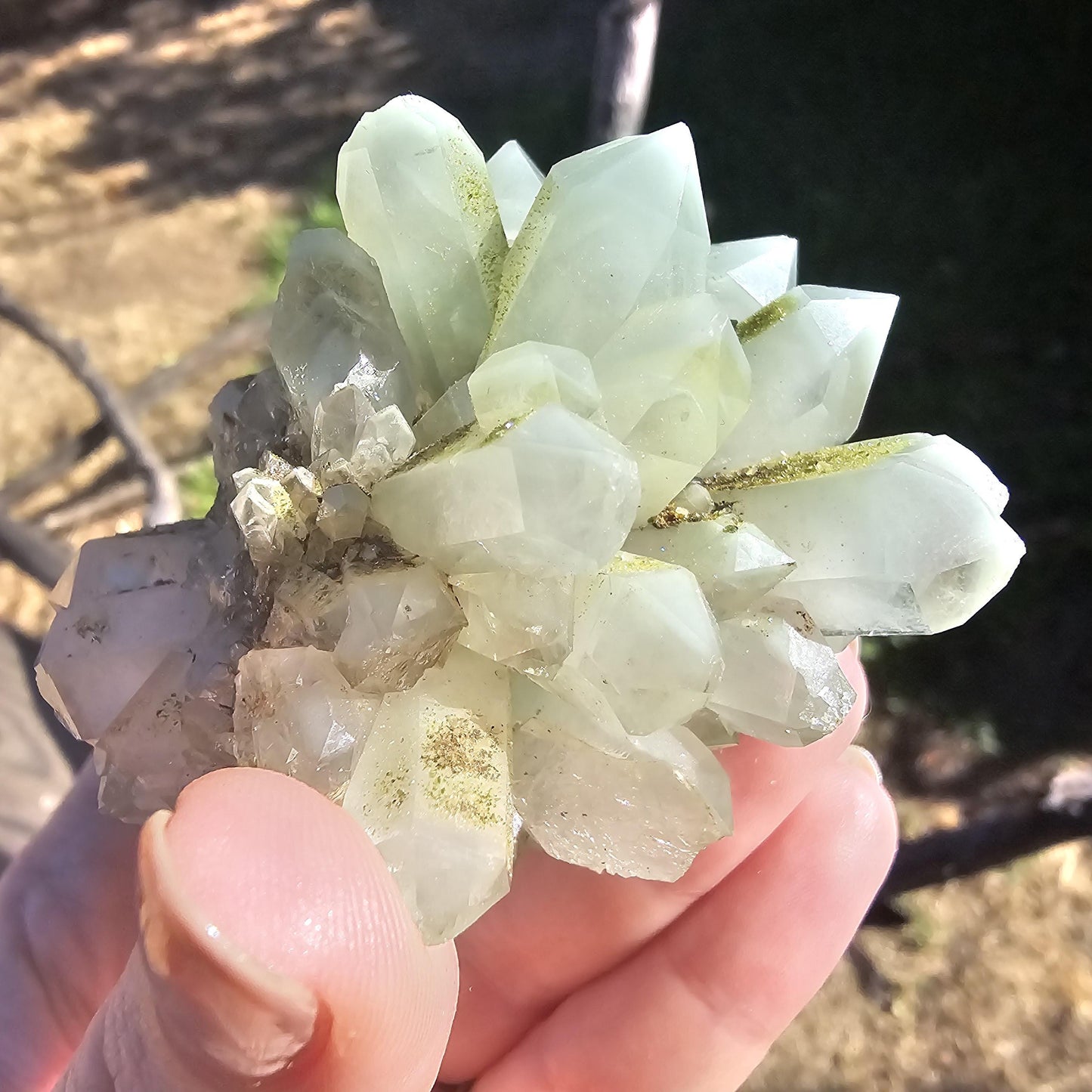 Epidote & Minty Blue Phantom Quartz ~ Very Rare Radial, Flowering Formation