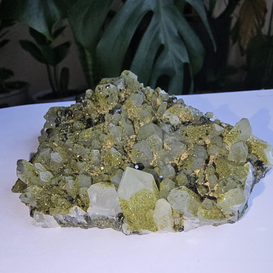 Epidote on Phantom Quartz, Chlorite or Fuschite Included New Find Combo Specimen