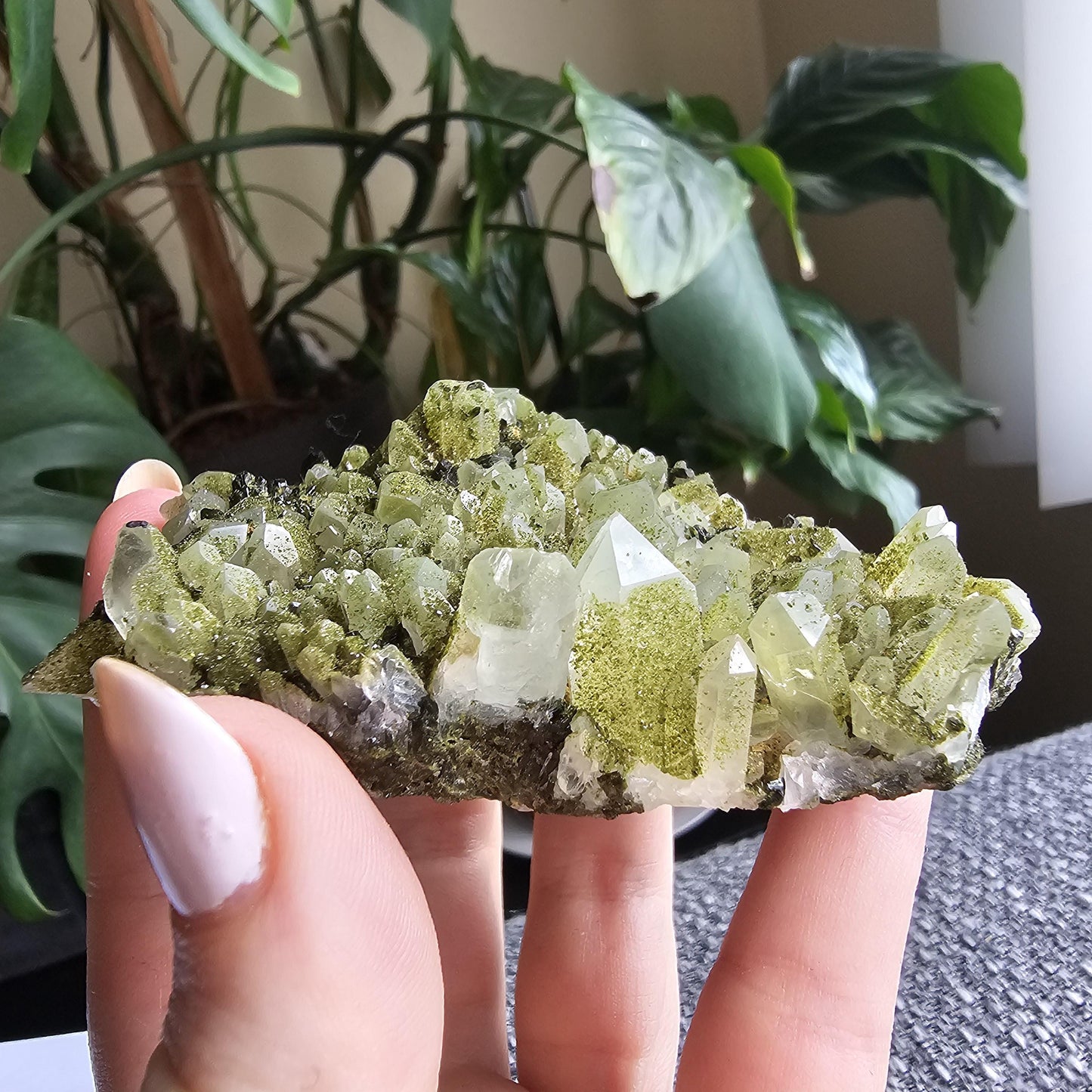 Epidote on Phantom Quartz, Chlorite or Fuschite Included New Find Combo Specimen