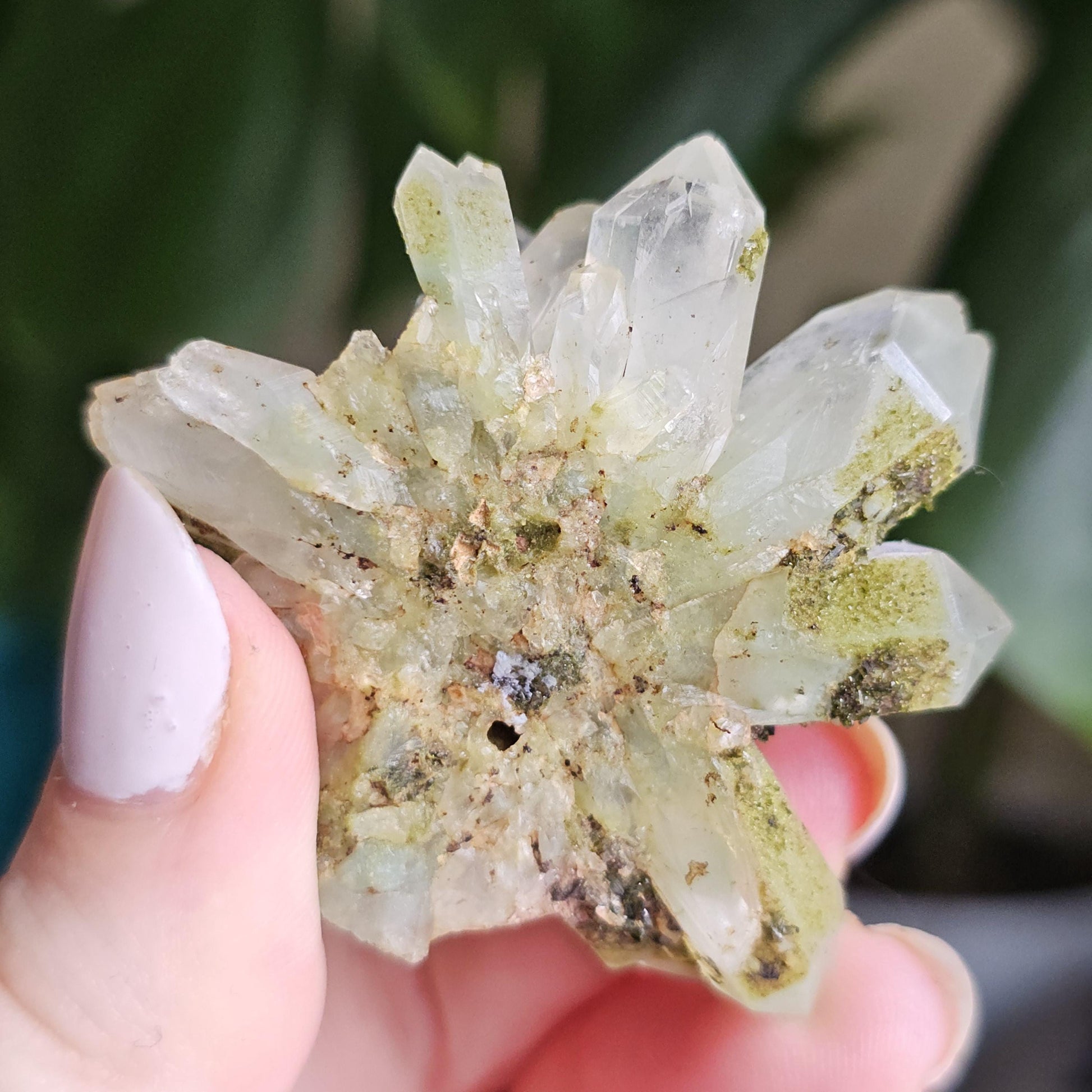 Flowering Quartz Specimen, Phantom Quartz Crystals from Turkey New Find <100