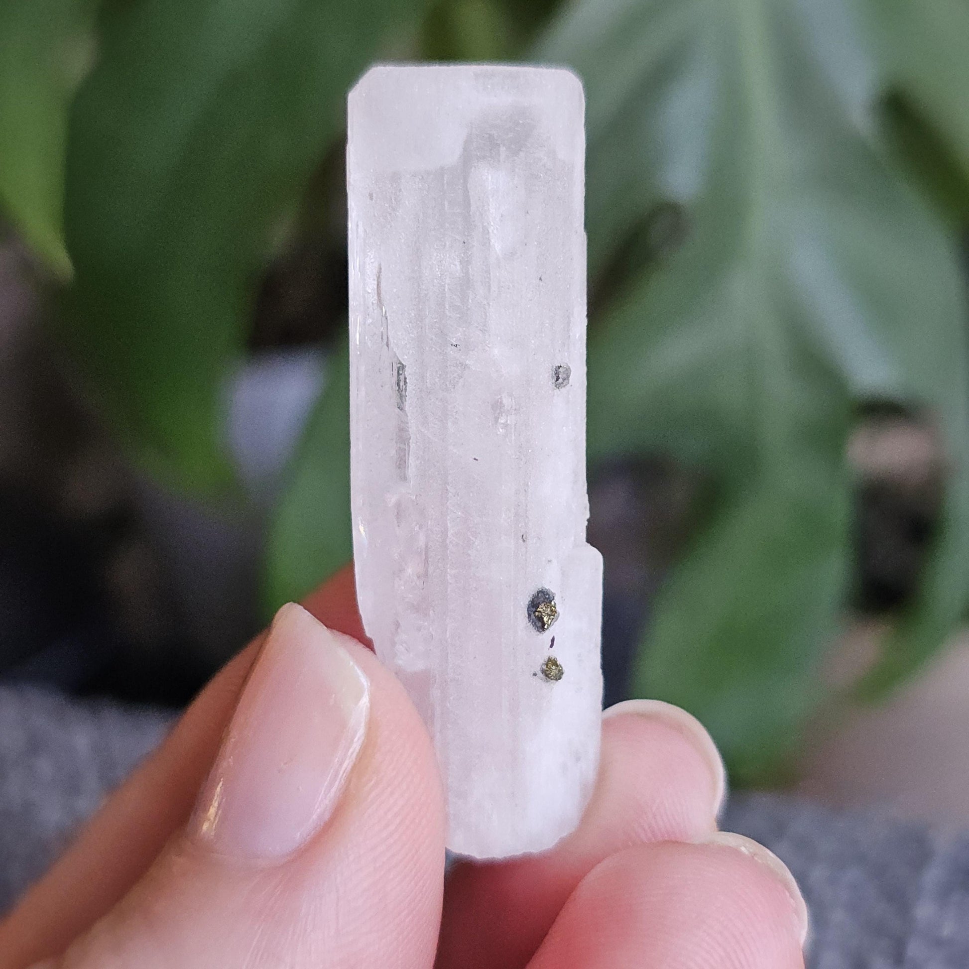 Danburite with Pyrite Inclusion | Rare Raw Crystal <100