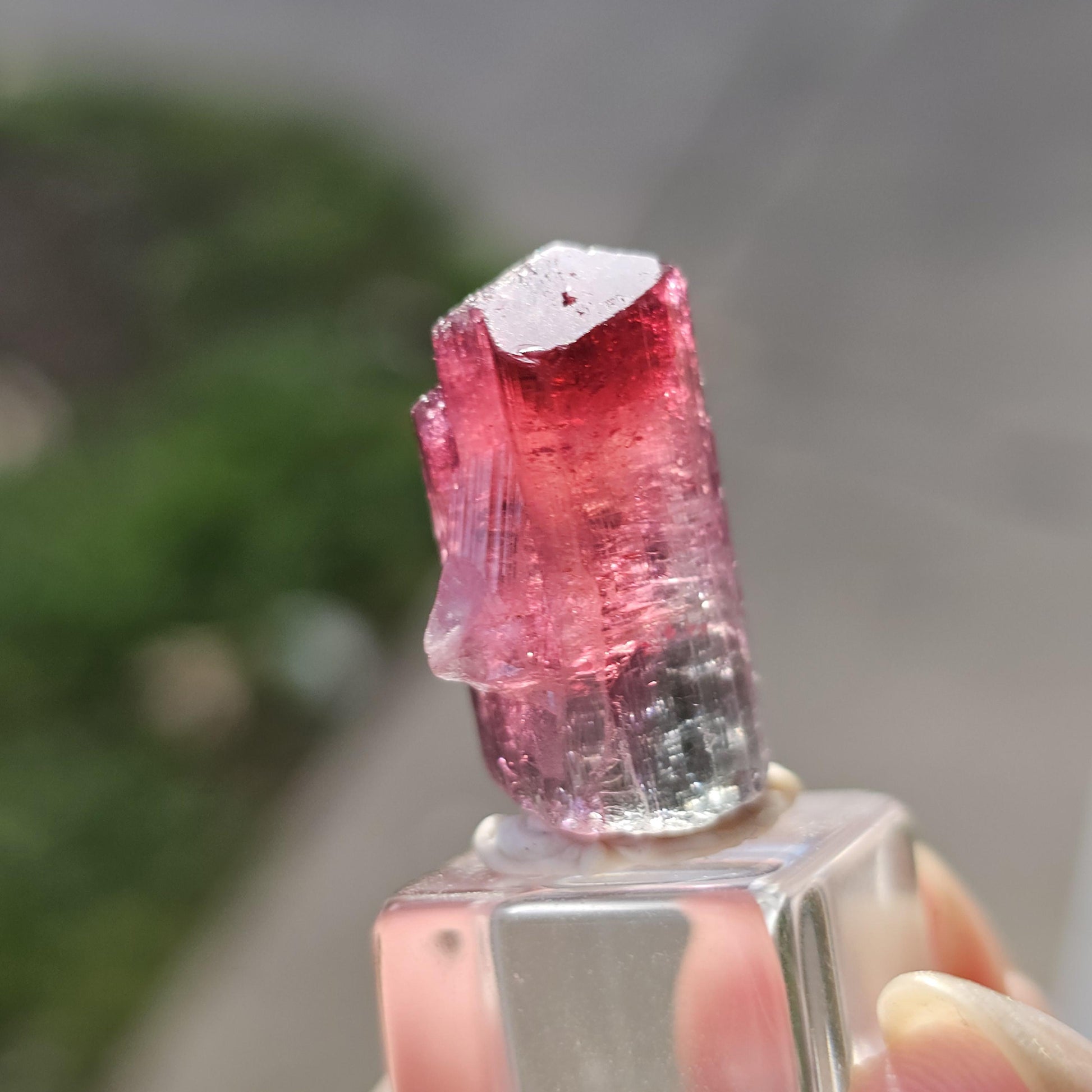 Lipstick Cruziero Tourmaline, Rare Lollipop Pocket Elbaite