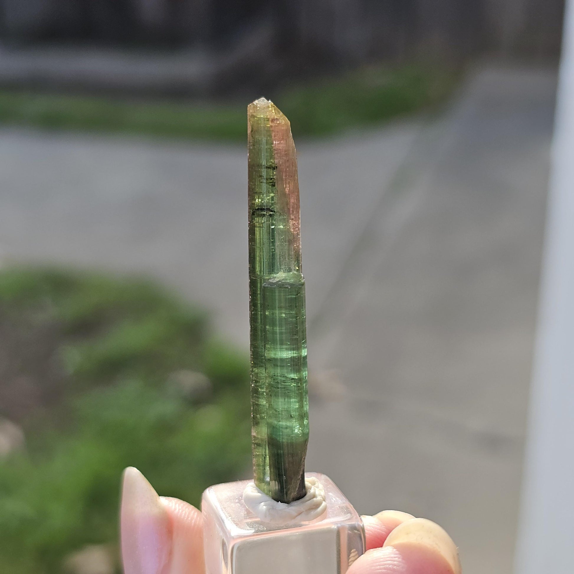 New Find Tourmaline var. Elbaite Twin Pencil Crystal, Taquaral Brazil 2022