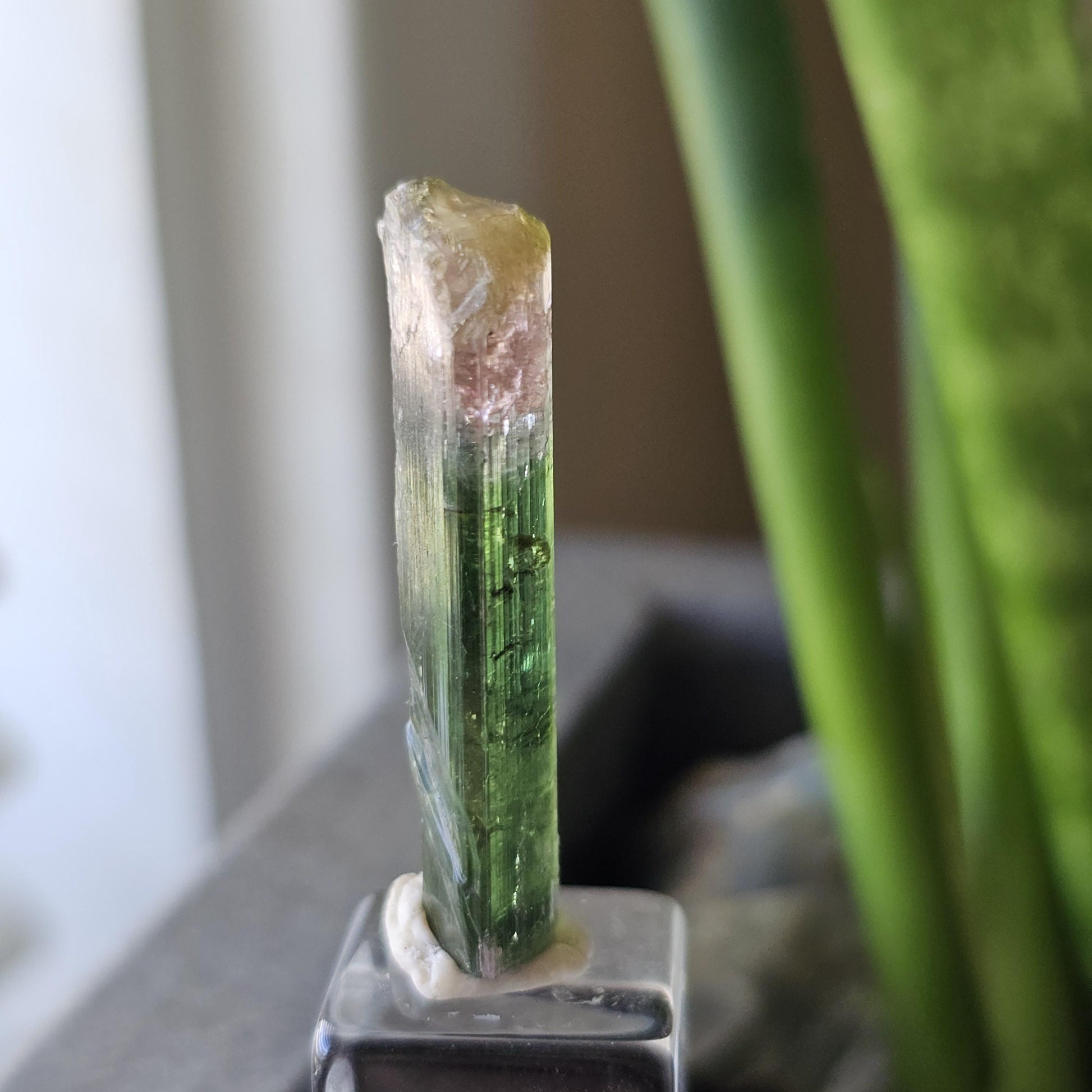 Tourmaline var. Elbaite, Taquaral Brazil, Rainbow Terminated Crystal