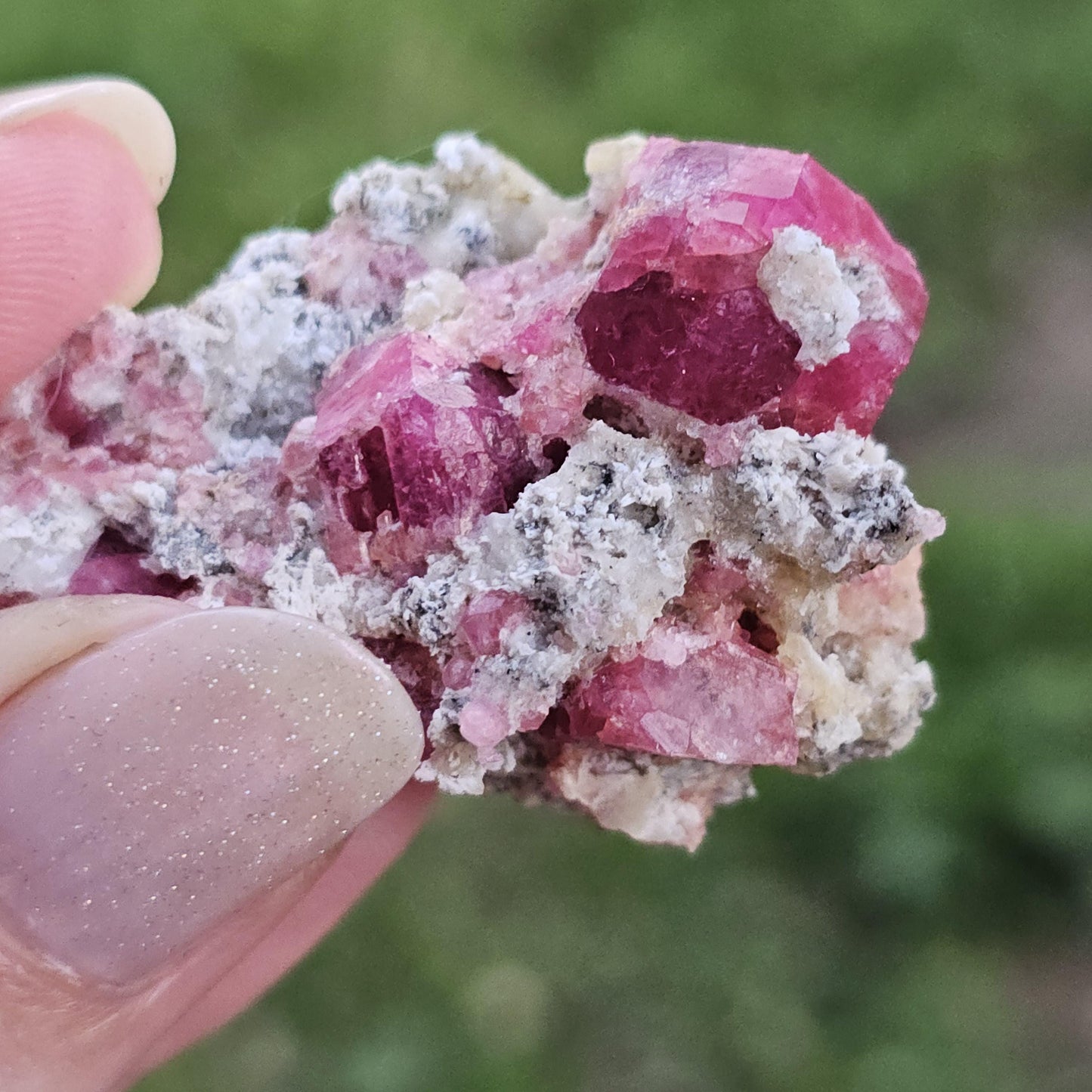 Raspberry Garnet on Matrix from Coahuila, Mexico, New Find 2024 <100