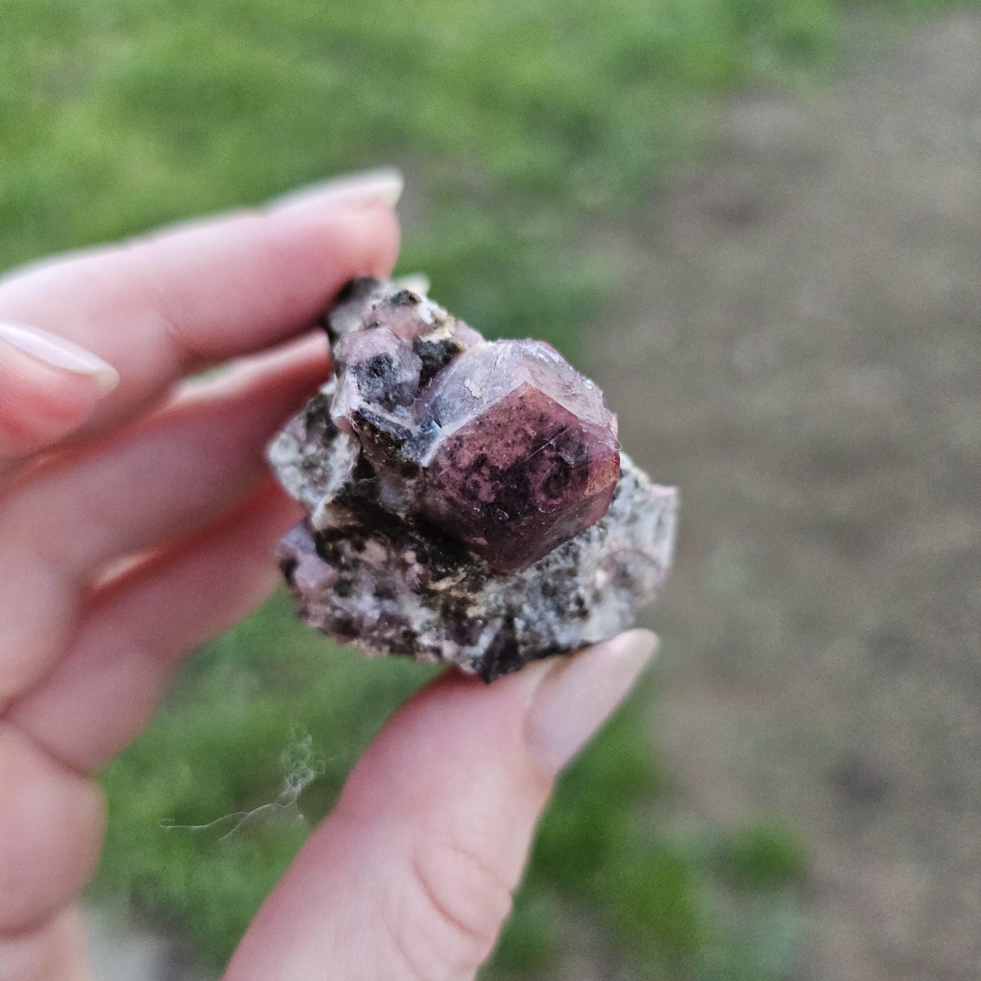 Raspberry Garnet on Matrix from Coahuila, Mexico, New Find 2024 <100