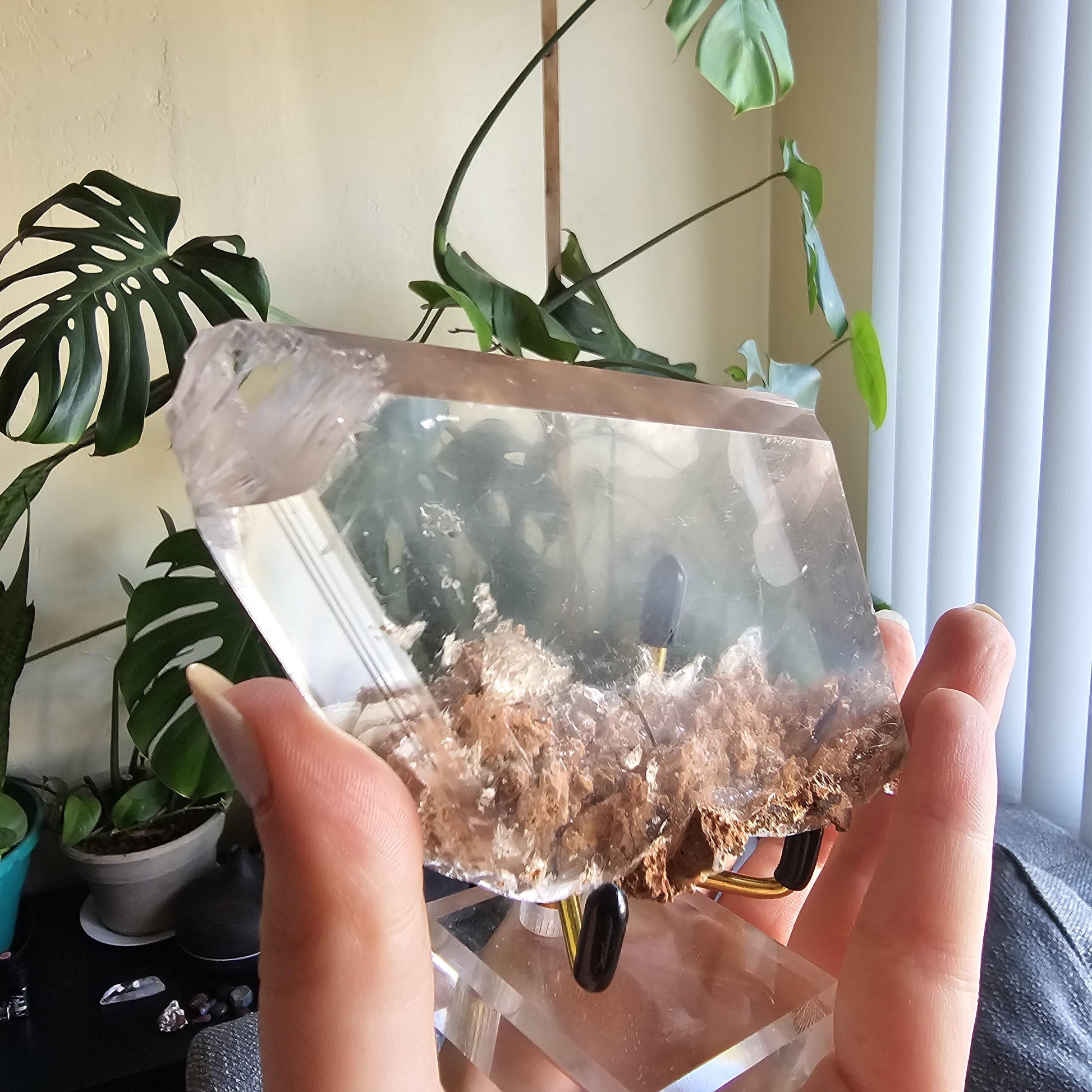 Very Rare Selenite Crystal with Garden-like Inclusions from the Defunct Naica Mine in Mexico