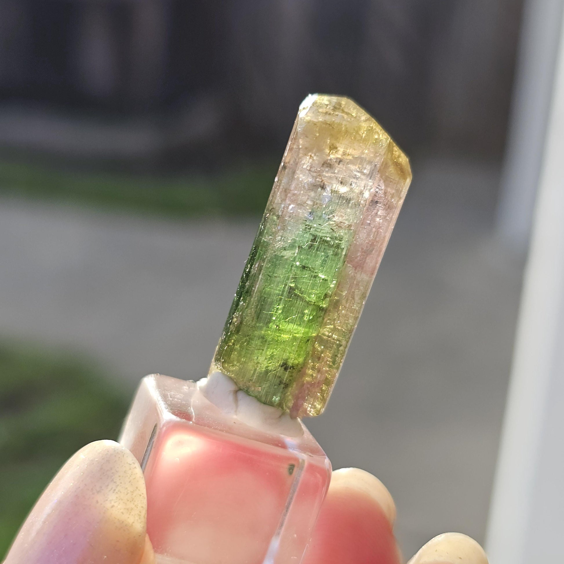 Tourmaline var. Elbaite, Taquaral Brazil, Rainbow Terminated Crystal