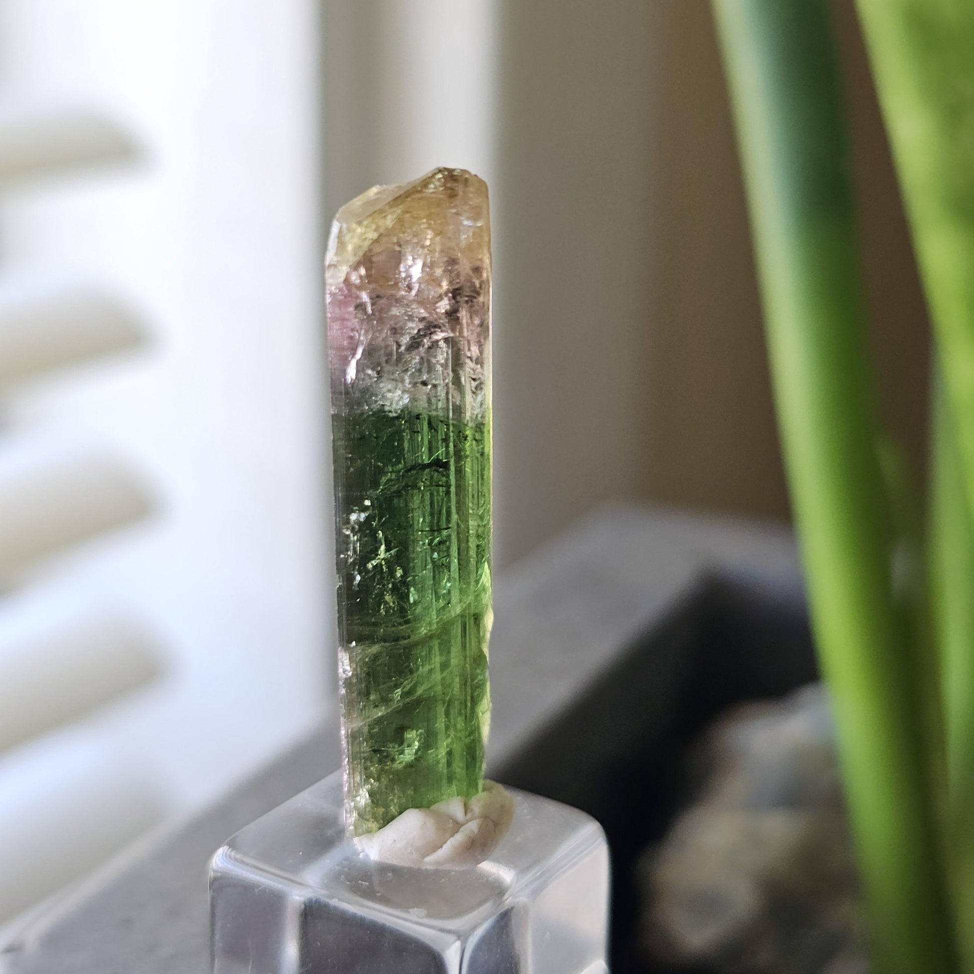 Tourmaline var. Elbaite, Taquaral Brazil, Rainbow Terminated Crystal