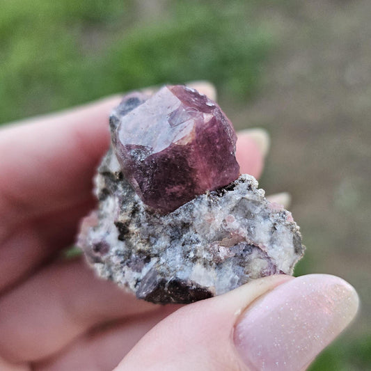 Raspberry Garnet on Matrix from Coahuila, Mexico, New Find 2024 <100