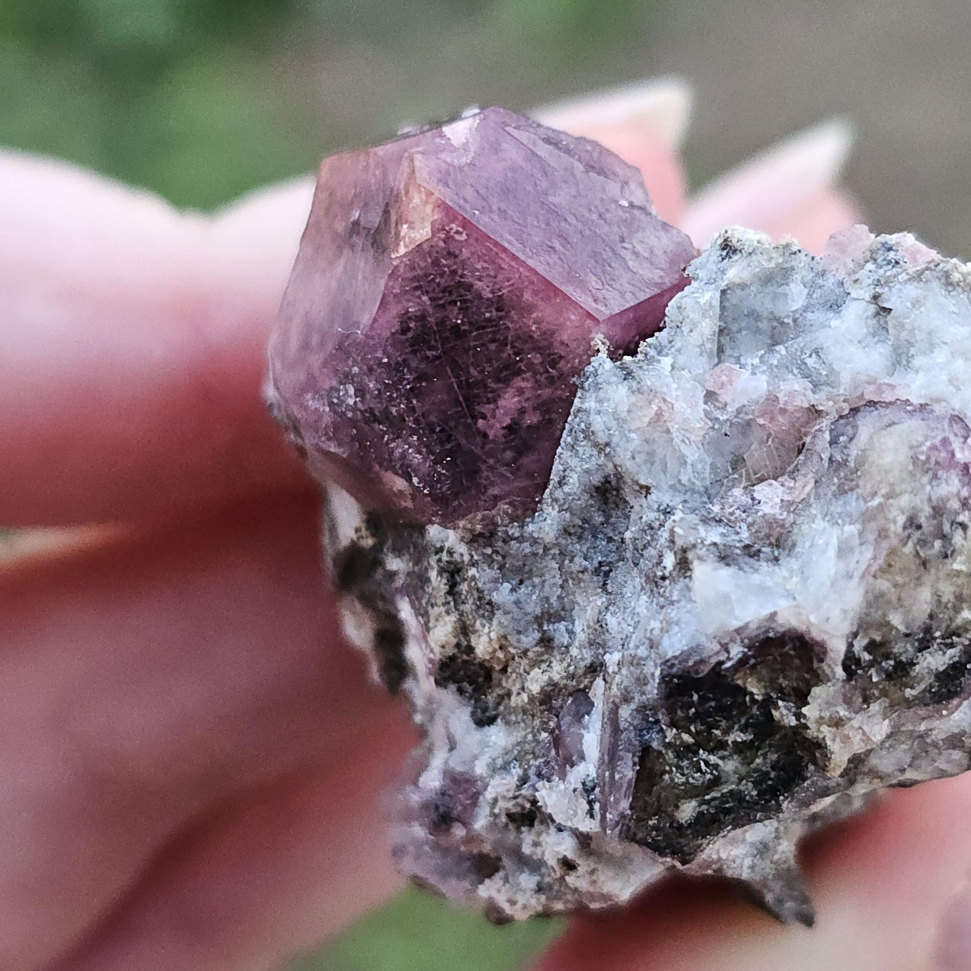 Raspberry Garnet on Matrix from Coahuila, Mexico, New Find 2024 <100