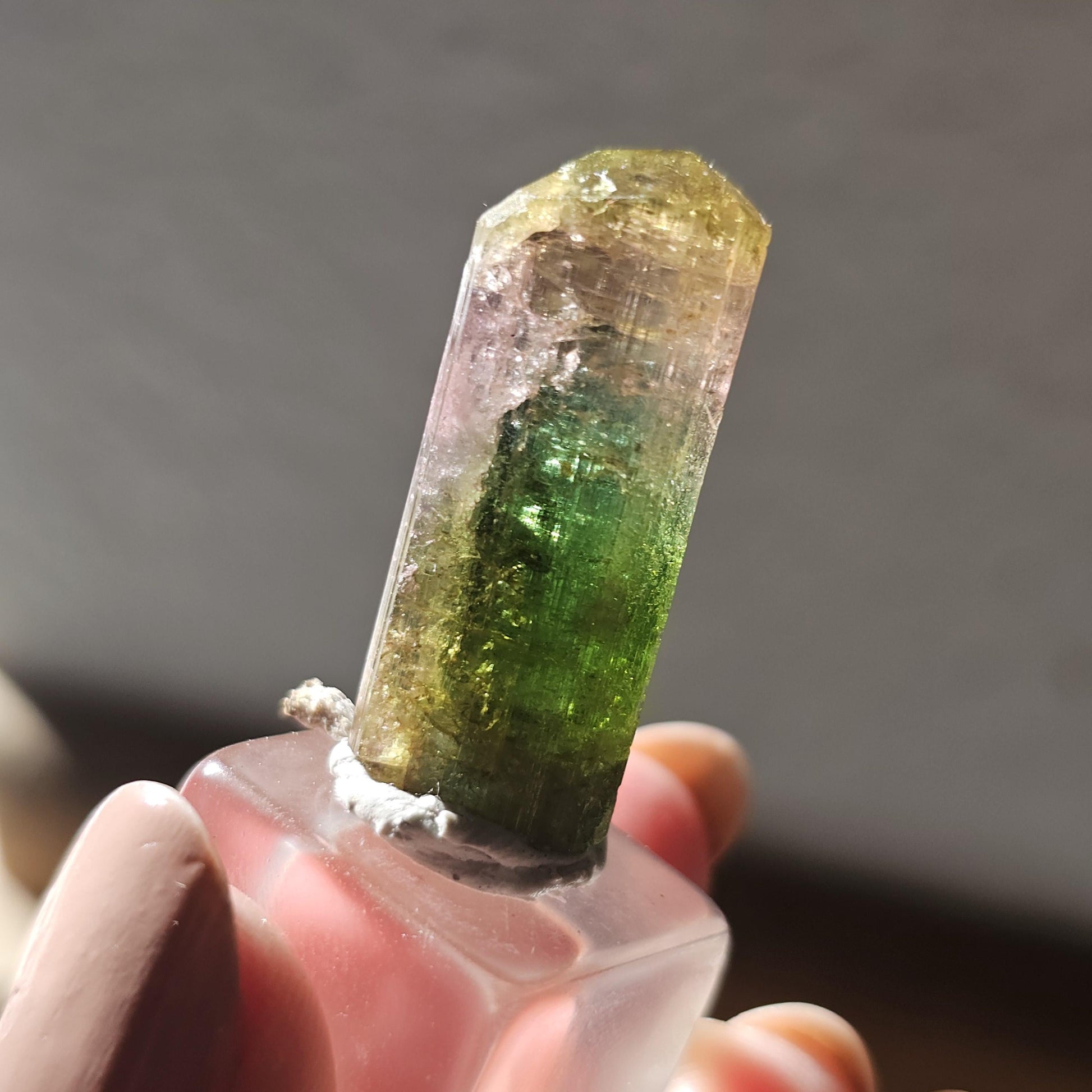 Tourmaline var. Elbaite, Taquaral Brazil, Rainbow Terminated Crystal