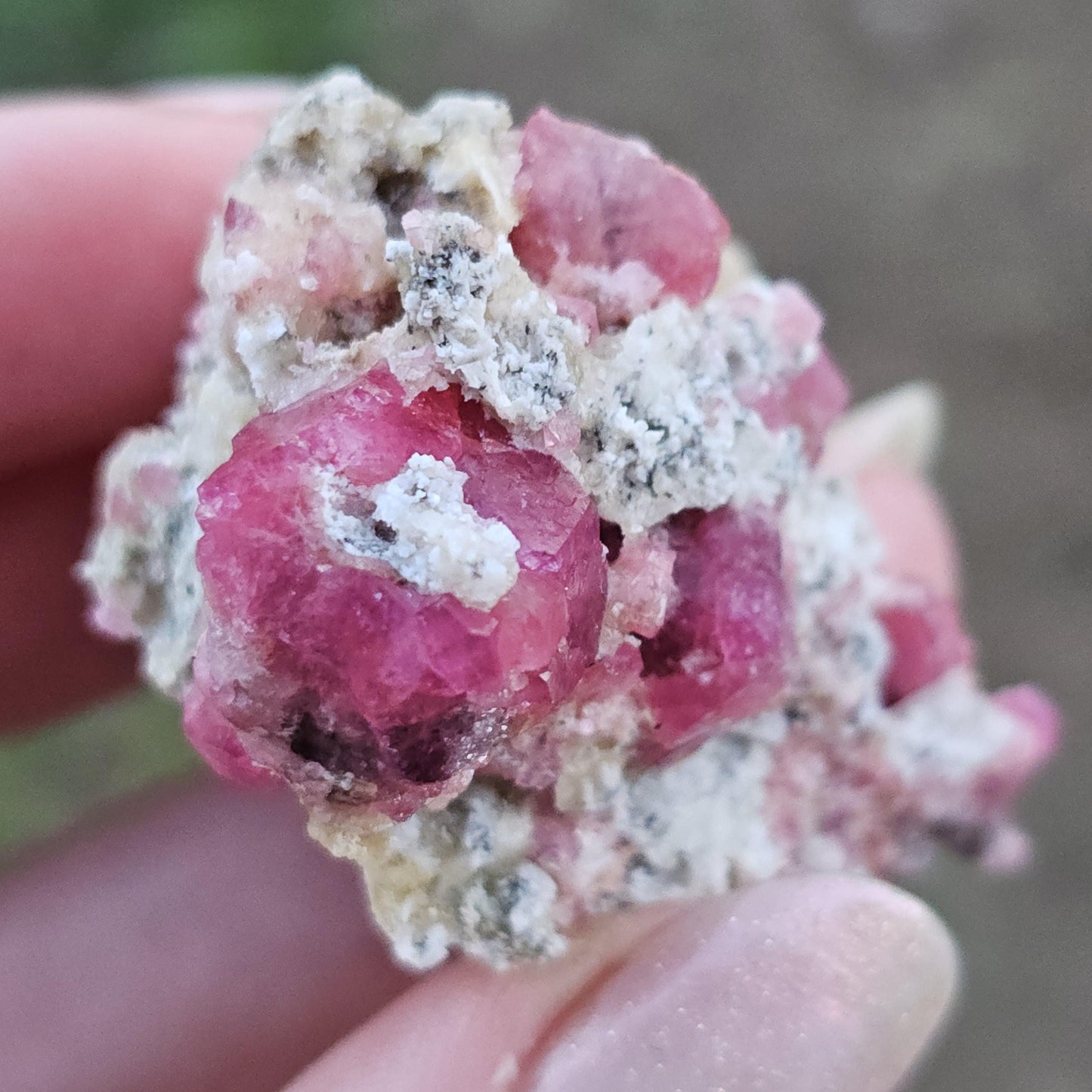 Raspberry Garnet on Matrix from Coahuila, Mexico, New Find 2024 <100