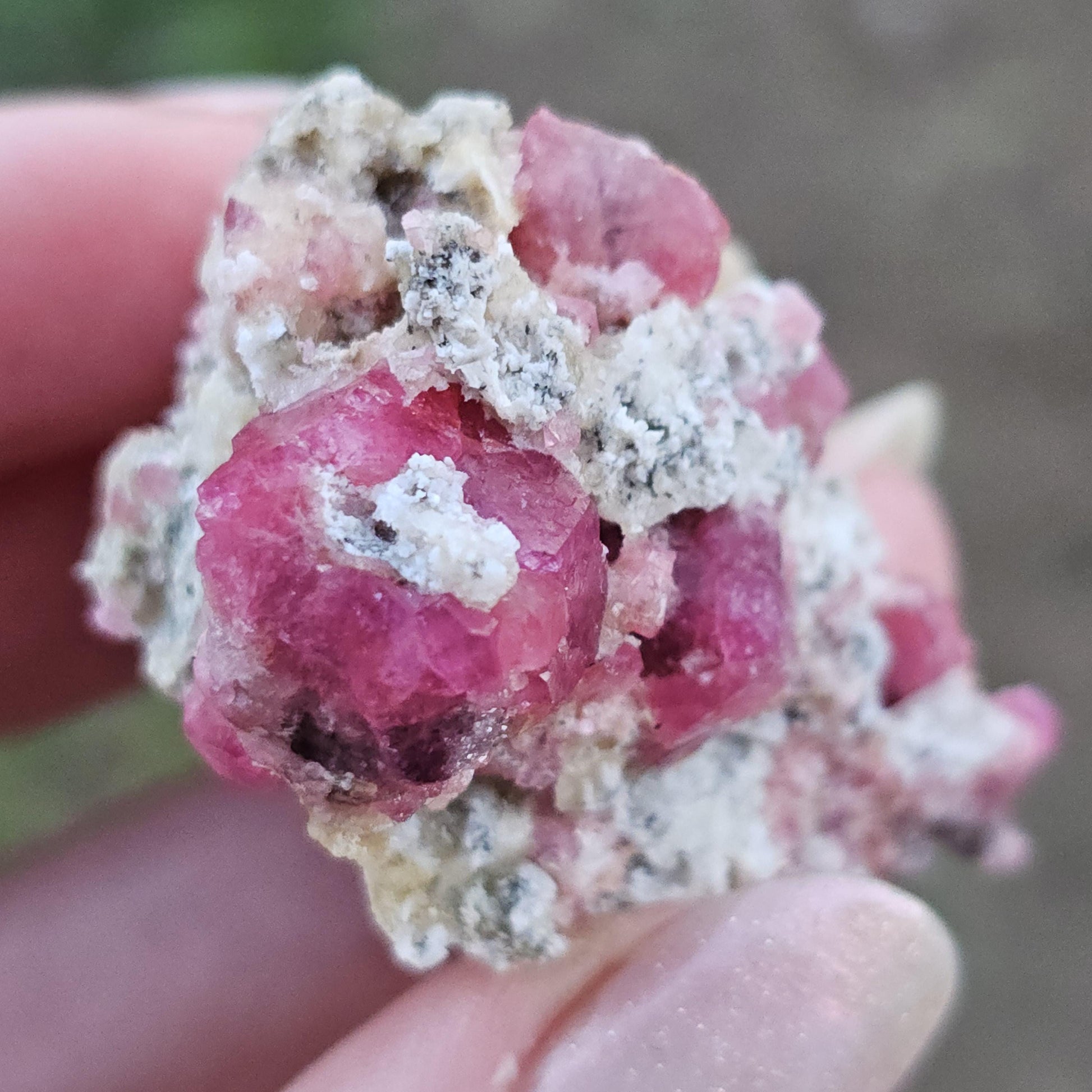 Raspberry Garnet on Matrix from Coahuila, Mexico, New Find 2024 <100
