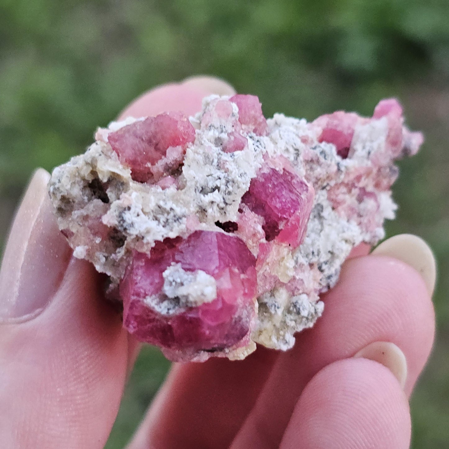 Raspberry Garnet on Matrix from Coahuila, Mexico, New Find 2024 <100