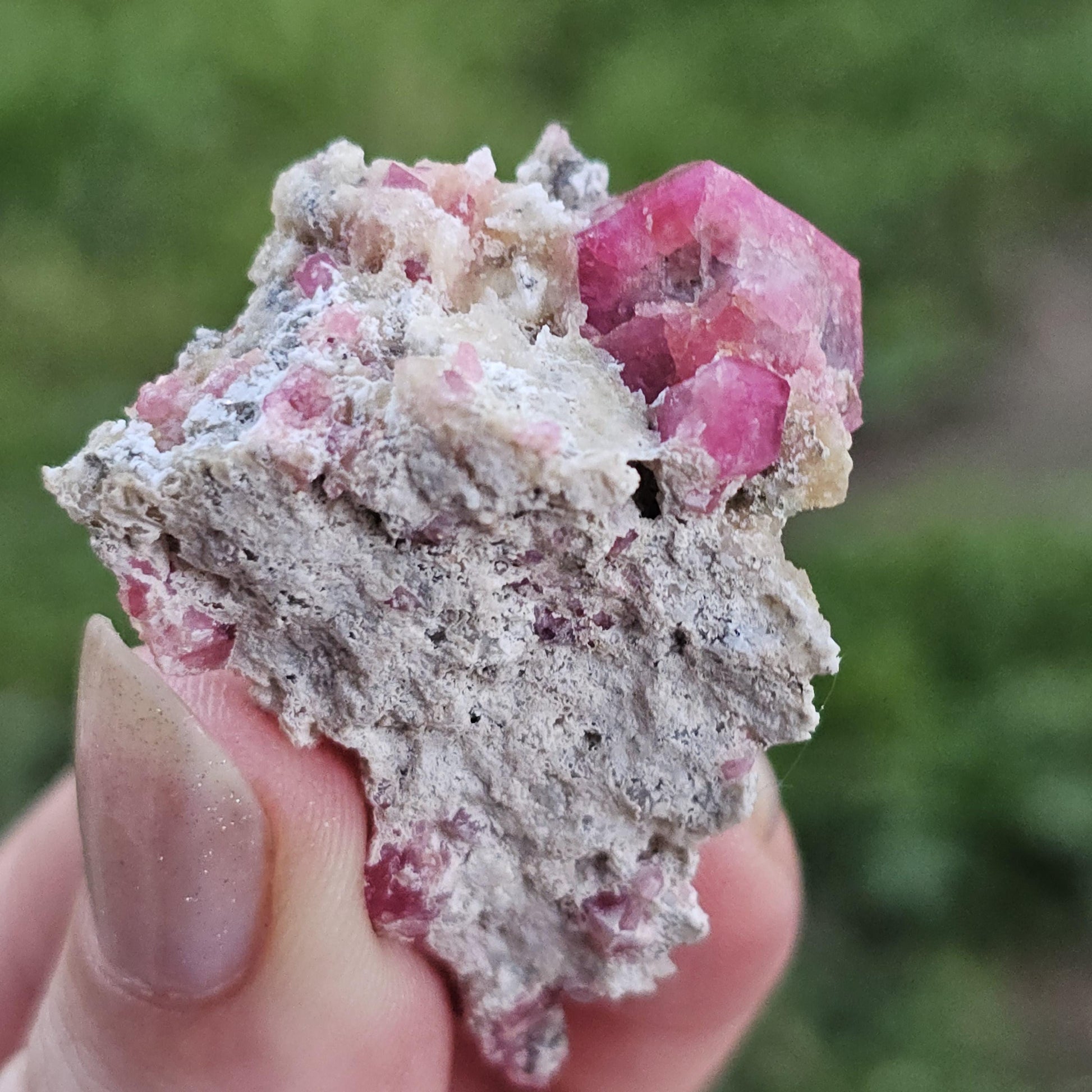Raspberry Garnet on Matrix from Coahuila, Mexico, New Find 2024 <100