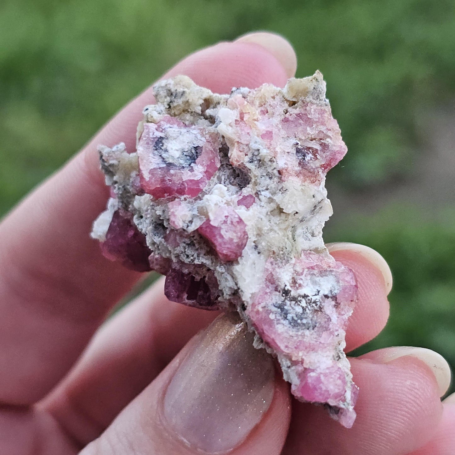 Raspberry Garnet on Matrix from Coahuila, Mexico, New Find 2024 <100
