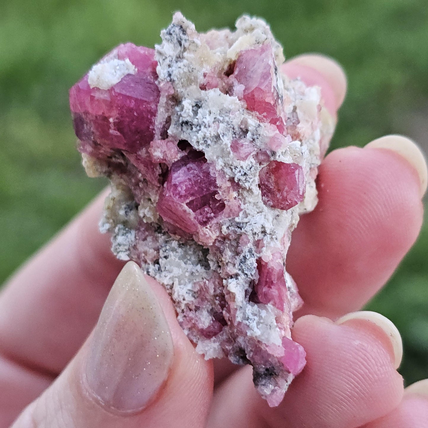 Raspberry Garnet on Matrix from Coahuila, Mexico, New Find 2024 <100