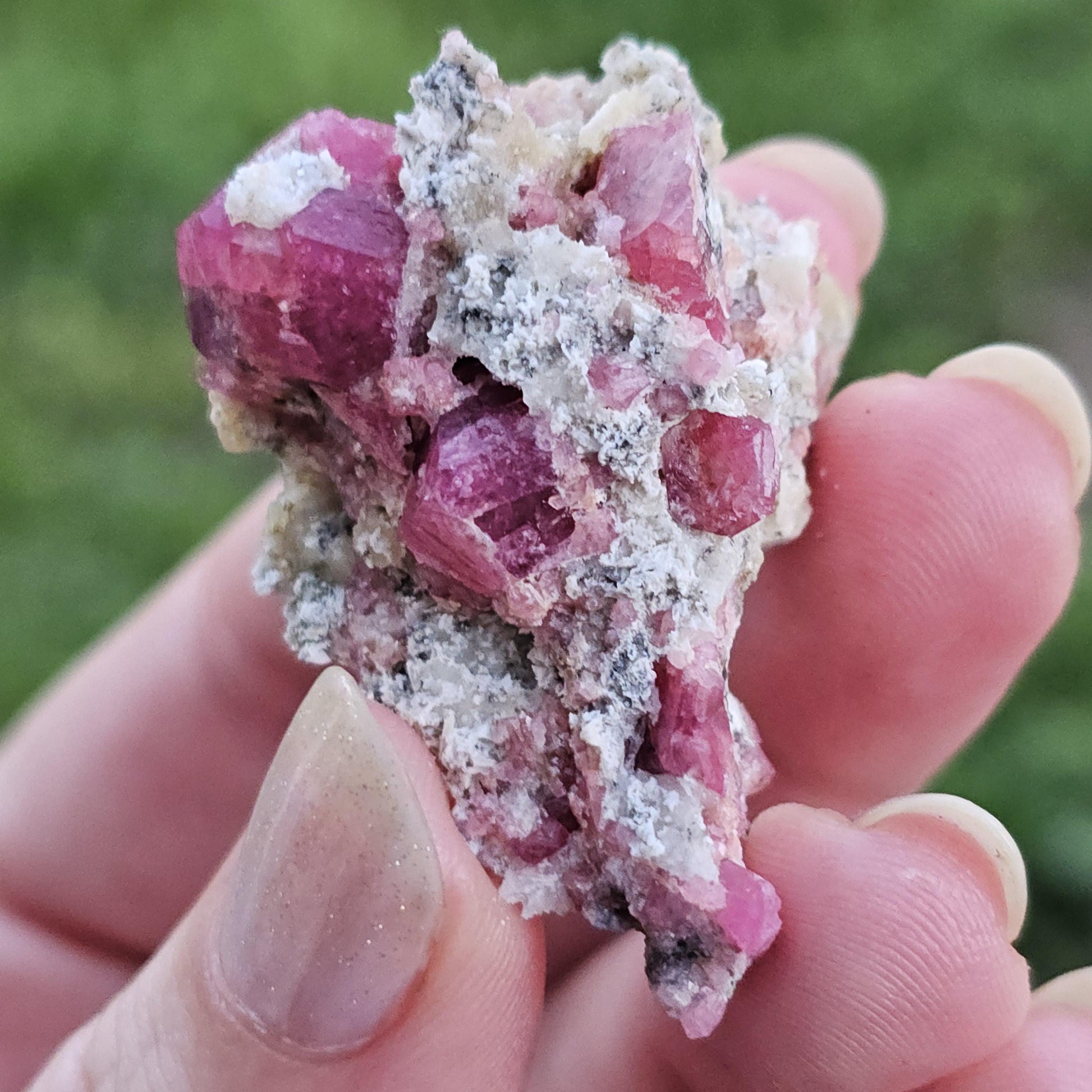 Raspberry Garnet on Matrix from Coahuila, Mexico, New Find 2024 <100