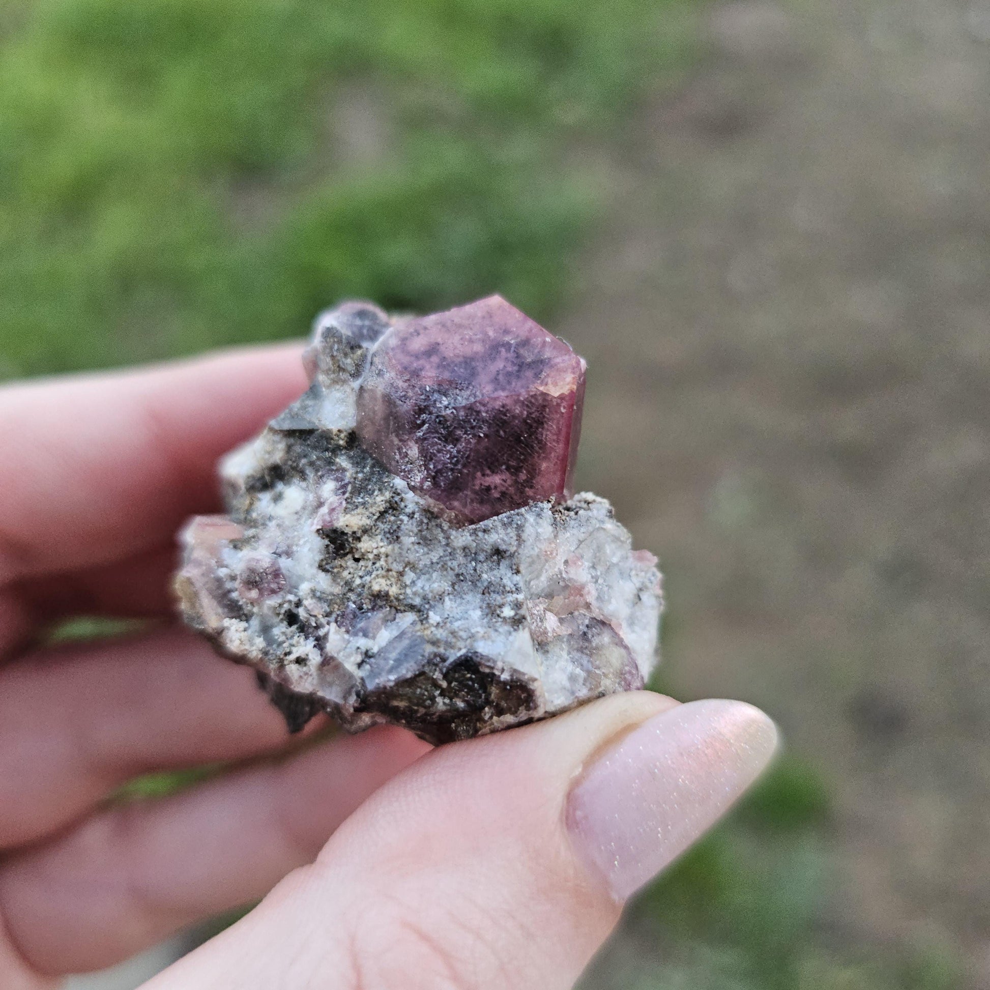 Raspberry Garnet on Matrix from Coahuila, Mexico, New Find 2024 <100