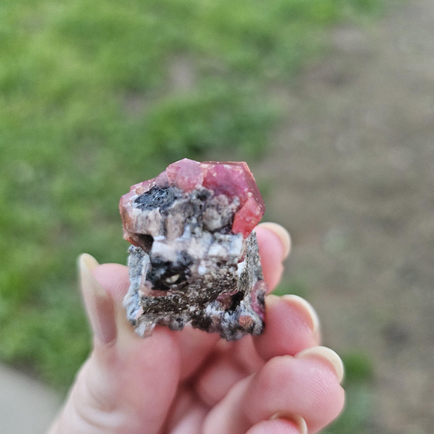 Raspberry Garnet on Matrix from Coahuila, Mexico, New Find 2024 <100