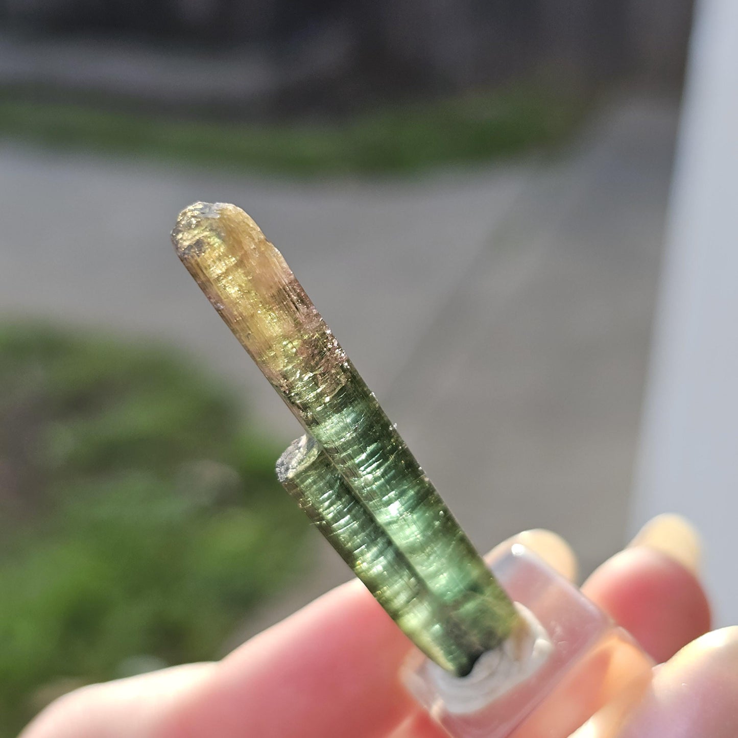 New Find Tourmaline var. Elbaite Twin Pencil Crystal, Taquaral Brazil 2022