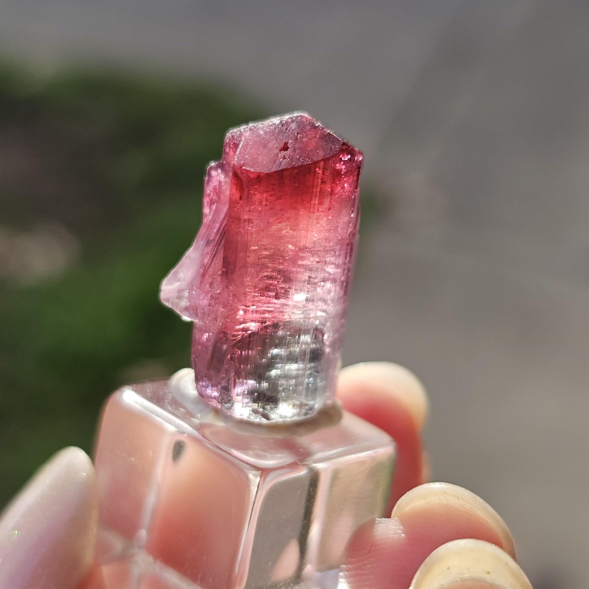 Lipstick Cruziero Tourmaline, Rare Lollipop Pocket Elbaite