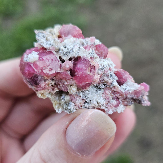Raspberry Garnet on Matrix from Coahuila, Mexico, New Find 2024 <100