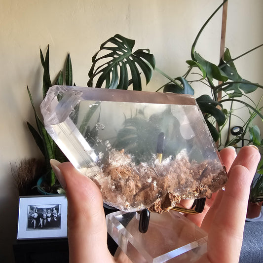 Very Rare Selenite Crystal with Garden-like Inclusions from the Defunct Naica Mine in Mexico