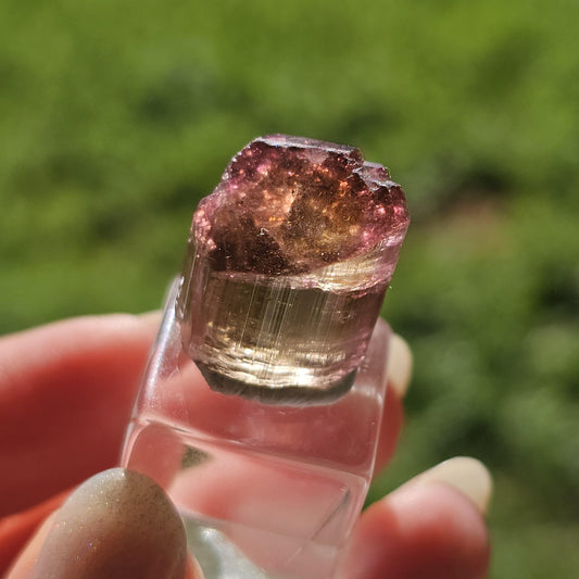 6g Elbaite Tourmaline Crystal Specimen from the Himalaya Mine, California