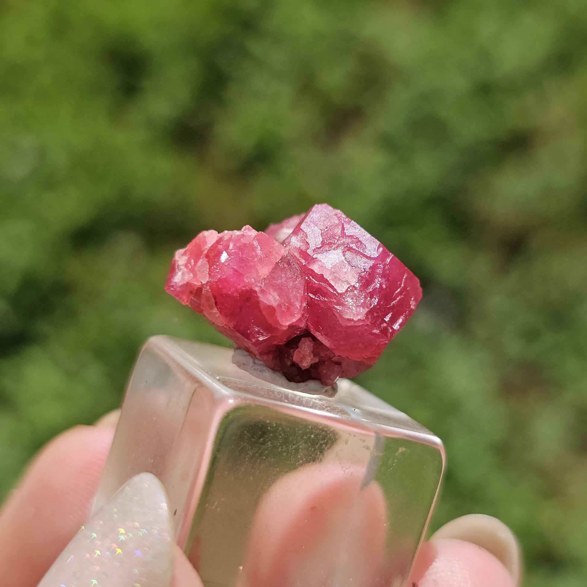 Raspberry Garnet Crystal Cluster w Black Core, Sierra de Cruces, Mexico <100