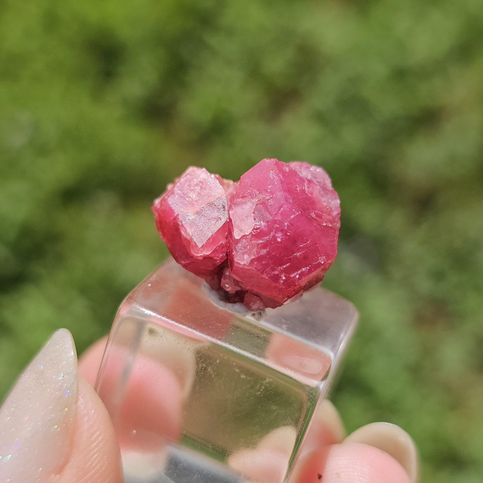 Raspberry Garnet Crystal Cluster w Black Core, Sierra de Cruces, Mexico <100