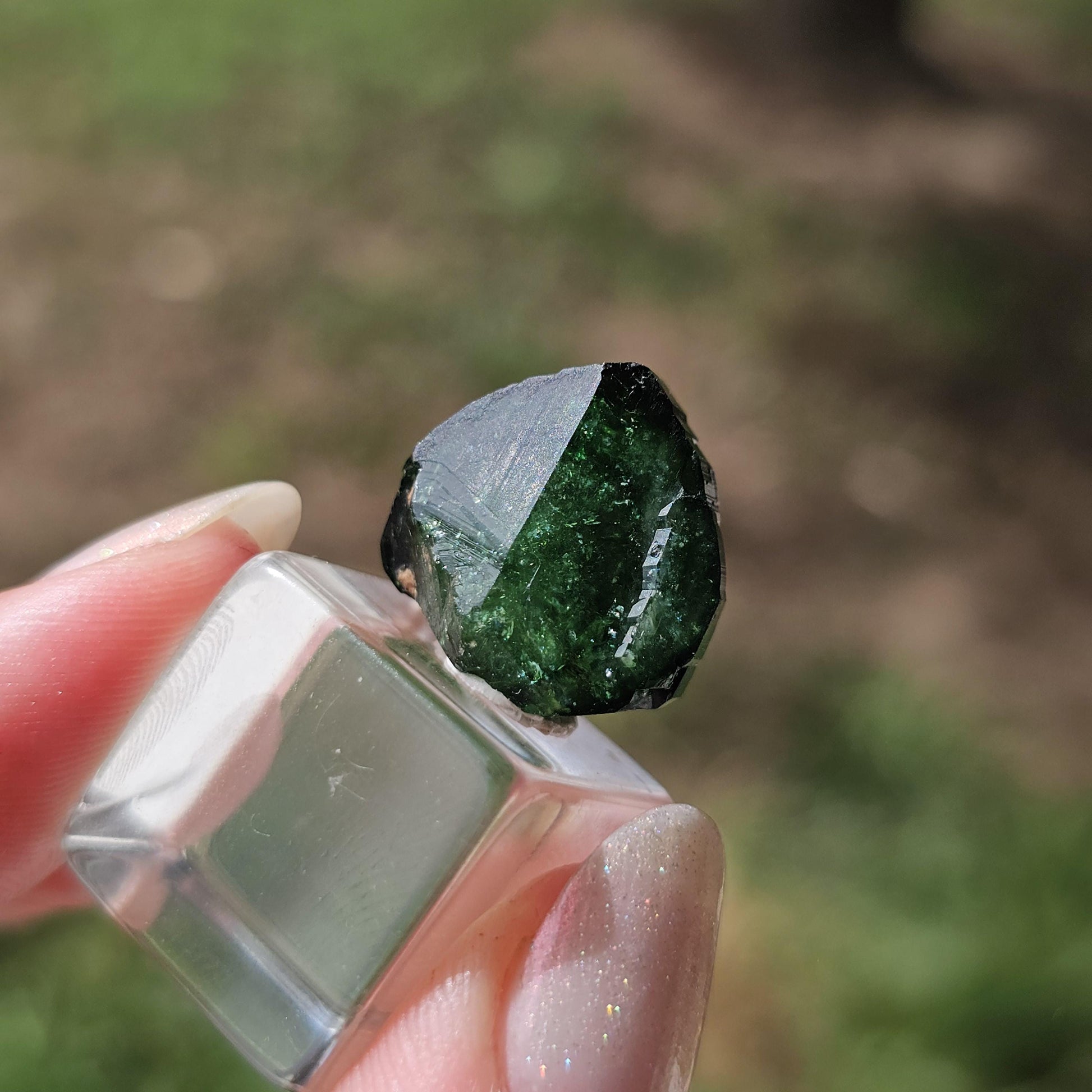 6g Chrome Dravite Rare Double Terminated Tourmaline Crystal from Landanai Tanzania