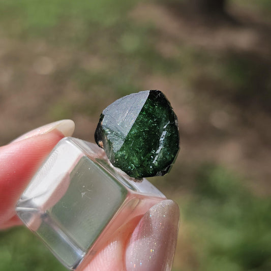 6g Chrome Dravite Rare Double Terminated Tourmaline Crystal from Landanai Tanzania