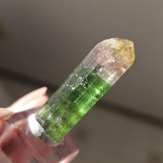 Tourmaline var. Elbaite, Taquaral Brazil, Rainbow Terminated Crystal