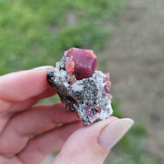 Raspberry Garnet on Matrix from Coahuila, Mexico, New Find 2024 <100