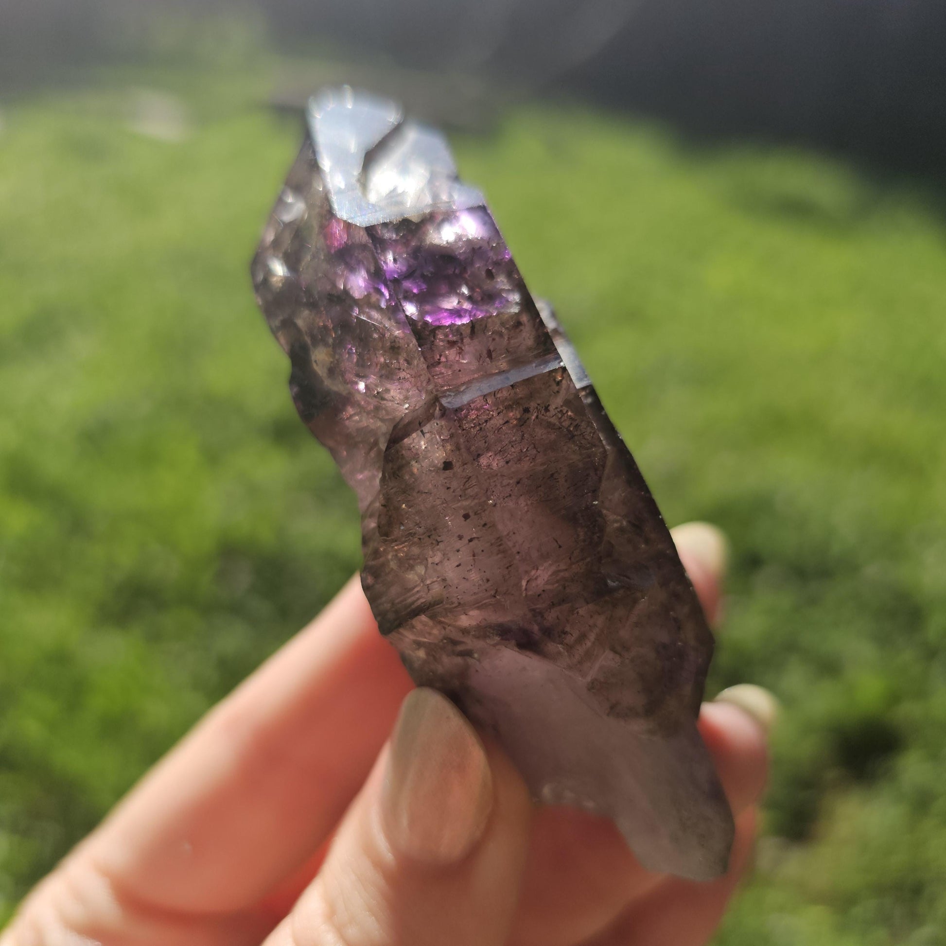 Large Tabby Shangaan Smoky Amethyst Sceptre from Zimbabwe