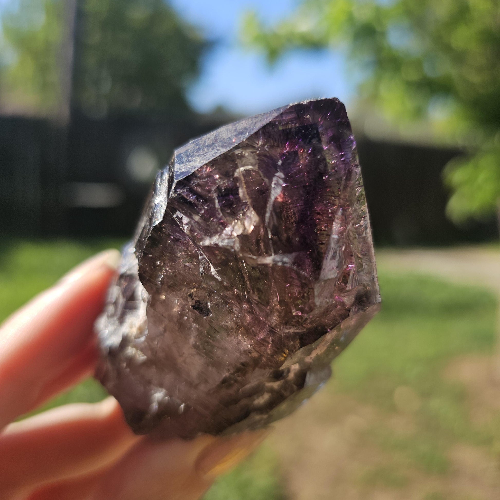 Large Tabby Shangaan Smoky Amethyst Sceptre from Zimbabwe