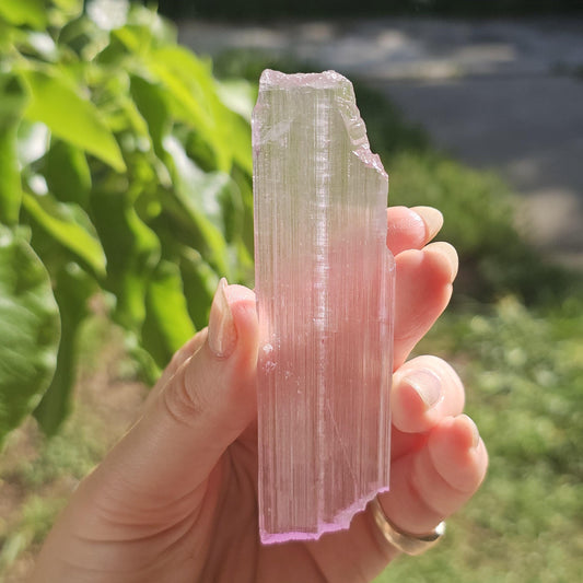 Extremely Tabular Spodumene var. Kunzite Crystal with DNA Helix Inclusion